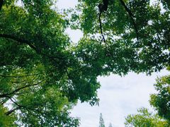 -中山公园