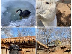 -北京鹿世界主题园