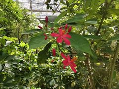 -南通洲际绿博园