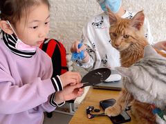 -平行世界·猫咖(首经贸店)