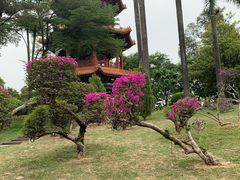 -广州莲花山旅游区