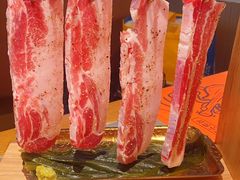 -杨小佳·齐齐哈尔烤肉·烤串(广州店)