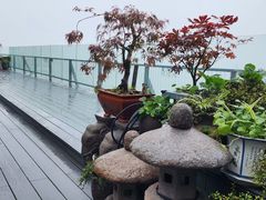 -川旺角川粤融合菜•海景餐厅(星海广场店)