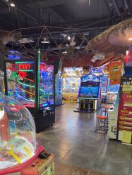 -卡通尼·Safari非洲探索乐园·生日会(金桥国际商业广场店)