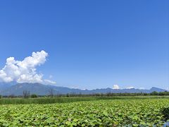 -野鸭湖国家湿地公园