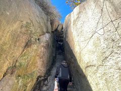 -鲁山国家森林公园