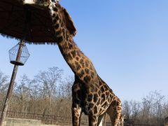 -济南野生动物世界