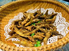 -大榕树下顺德菜(融创茂店)
