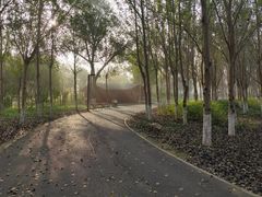 -东郊湿地公园