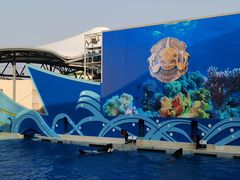 -上海海昌海洋公园