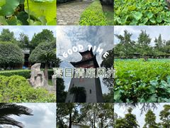 -四川大学(华西校区)