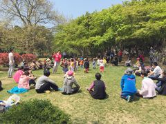 八大关景区-八大关景区