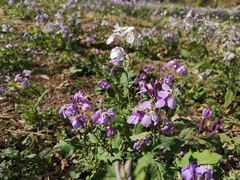 -湖洞水自然风景区