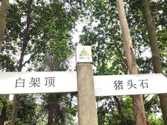 -火炉山森林公园