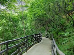 -十渡东湖港风景区