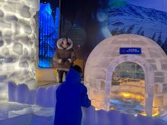 -海合安成都极地海洋公园