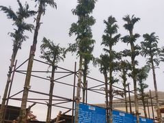 -重庆海昌加勒比海水世界