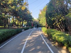 -古塔公园