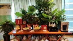 -月幸福月子中心(静安店)