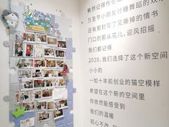 -猫的天空之城概念书店(大学路店)