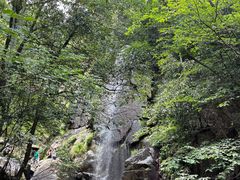 -莫干山风景区