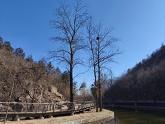 -白水寺森林公园