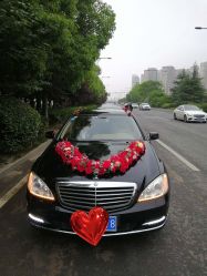 -蚂蚁婚车