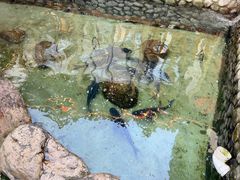 -耕渔小院·湖南鱼鲜(望城店)