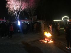 篝火晚会-行宫蒙古部落(顺平路店)