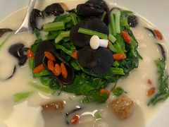 -伯衡55·吉品轩(乌鲁木齐南路店)