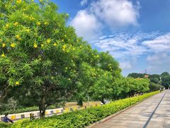 -南国桃园旅游度假区