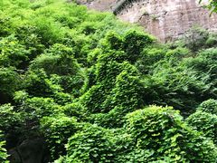 -十渡东湖港风景区