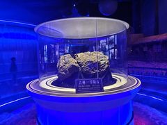 -吉林市博物馆