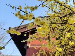 -钱王祠