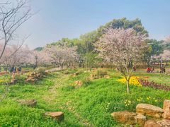 -苏州上方山国家森林公园