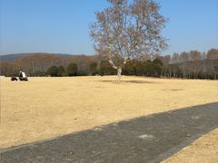 -钟山体育运动公园