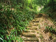 -南山植物园
