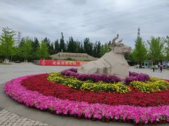 -永定河休闲森林公园