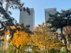 -西海子公园