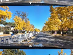 -老虎石海上公园