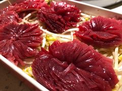 -钢管厂五区小郡肝火锅串串香(总店)