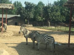 -西安秦岭野生动物园
