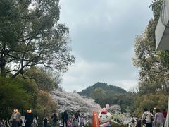 -杭州少年儿童公园