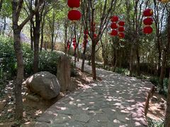 -沂蒙云瀑洞天景区
