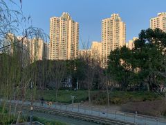 -苏州河梦清园环保主题公园