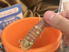 -四海蒸鲜蒸汽海鲜自助(北戴河店)