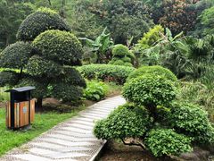 -广西壮族自治区药用植物园
