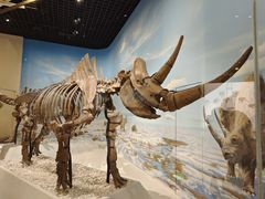 -国家自然博物馆