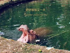 -南昌动物园