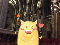 -斯蒂芬主教座堂(Stephansdom)